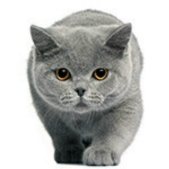 Арсен Гиндуллин, 24.09.2003