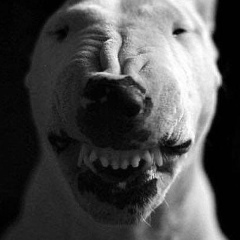 Жил Манилкин, 02.02.1987, Магадан