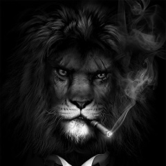 Евгений Левченко, 09.05.1993