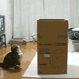 Maks Thebest, 16.01.1990, Винница