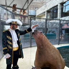 Шевкет Алимбаев, 29.03, Бахчисарай
