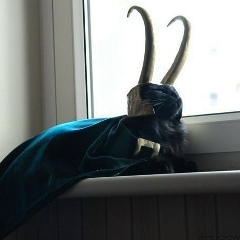 Родион Ромаданов, 08.10.1992, Москва