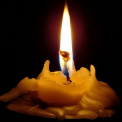 Виктория Петрова