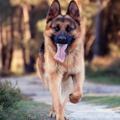 Андрей Иванов, Ростов-на-Дону