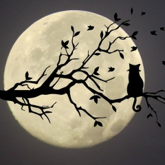 Ержан Сатылганов, 28.07.1975, Алматы