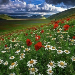 Наталья Кузнецова, 08.10.1970, Тараз