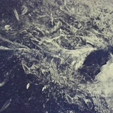 Павел Худорожко, 27.12.2010, Москва