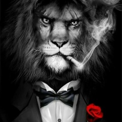 Тимур Ат, 29.09, Москва