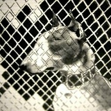 Azamat Kudebayev, 17.03.1988, Алматы