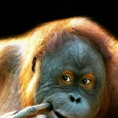 Кир Мотыл, 01.01.1990, Москва