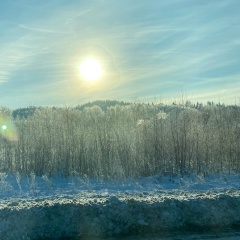 Елена Бахвалова