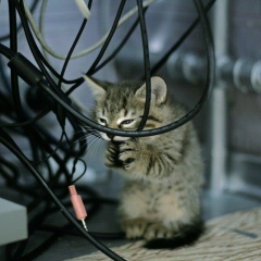 Айбулат Надыргулов, 02.09.1904