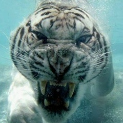 Алибек Дюсенеев, 30.08.1986, Павлодар