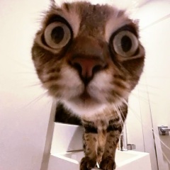 Serkan Bolat, 15.07.1990, Нижний Новгород