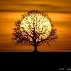 Жан Капашев, 04.03