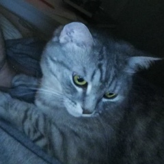 Алексей Кормин, 02.10, Челябинск