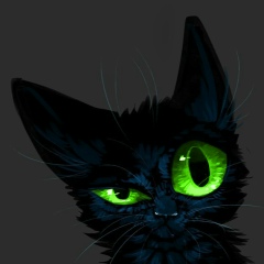 Антон Шамов, 14.03.1987, Снежногорск