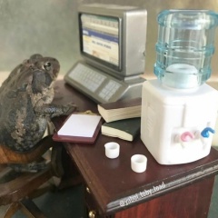 Vika Aistov, 15.11, Tianjin