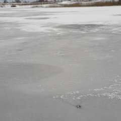 Евгения Николаева, Санкт-Петербург
