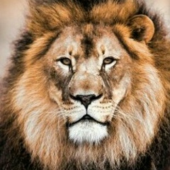 Min Nandar, 28.08.2000