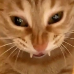 Мефодий Амбалов, 02.07.2002, Киев