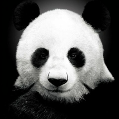 Алексей Горностаев, 22.08, Томск