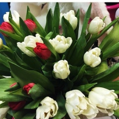 Жанна Абсадыкова, 13.05, Актау