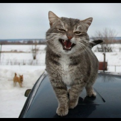 Евгения Якушева, 25.05, Одесса