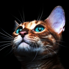 Руслан Сабитов, 08.02.1986, Димитровград