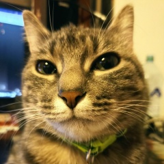 Дарья Малинкина, 28.07