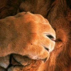 Николай Рябушей, 10.08, Каланчак