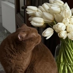 Оксана Гаврилова, Santa Fe