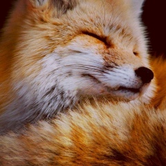 Татьяна Киселева, 18.01.1971, Санкт-Петербург