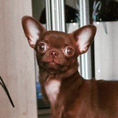 Сергей Михайлов, 17.10, Великий Новгород