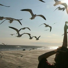 Аня Бросалина, Волгоград