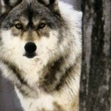 Юлька Тюкова, 25.09, Днепр (Днепропетровск)