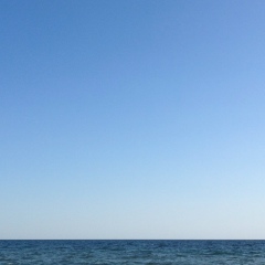 Надежда Петрова, Киев