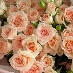 Наталья Стародумова, Санкт-Петербург