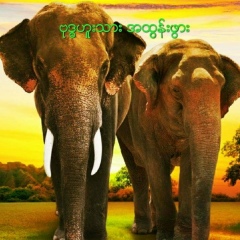 A-Htun Bwar, 20.06.1983, Yangon