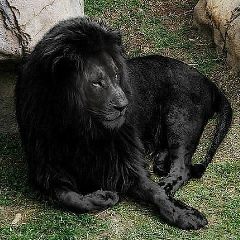 Ольга Кочеткова, 25.04.1983, Астана