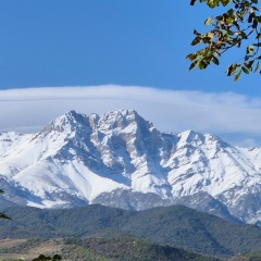 Hayrapetyan V, 22.02, Venezia