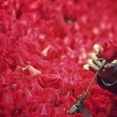 Маржан Тұрсынбай, 20.01, Алматы