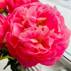 Irina Muromtceva, 09.02.1984, Санкт-Петербург