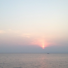 Павел Рем, 15.11, Санкт-Петербург