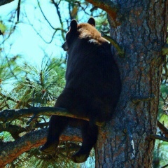Любовь Шукалова, 02.04.1981, Санкт-Петербург
