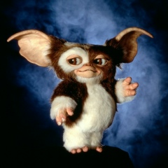 Юля Бранець, 08.02, Львов