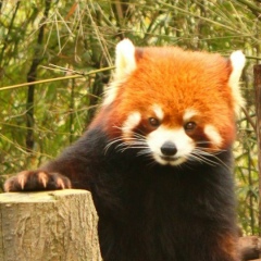 Антон Зарипов, 29.04, Москва