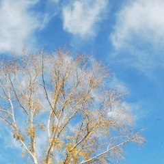 Руфина Багаутдинова, 03.12.1987, Санкт-Петербург