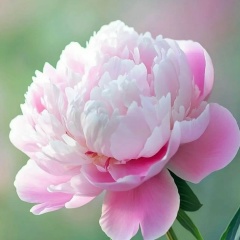 Арина Петрова, 18.02, Санкт-Петербург