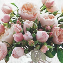 Акбопе Мыркасымова, Алматы